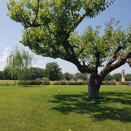 Agriturismo Villa Al Piano Todi Eksteriør billede