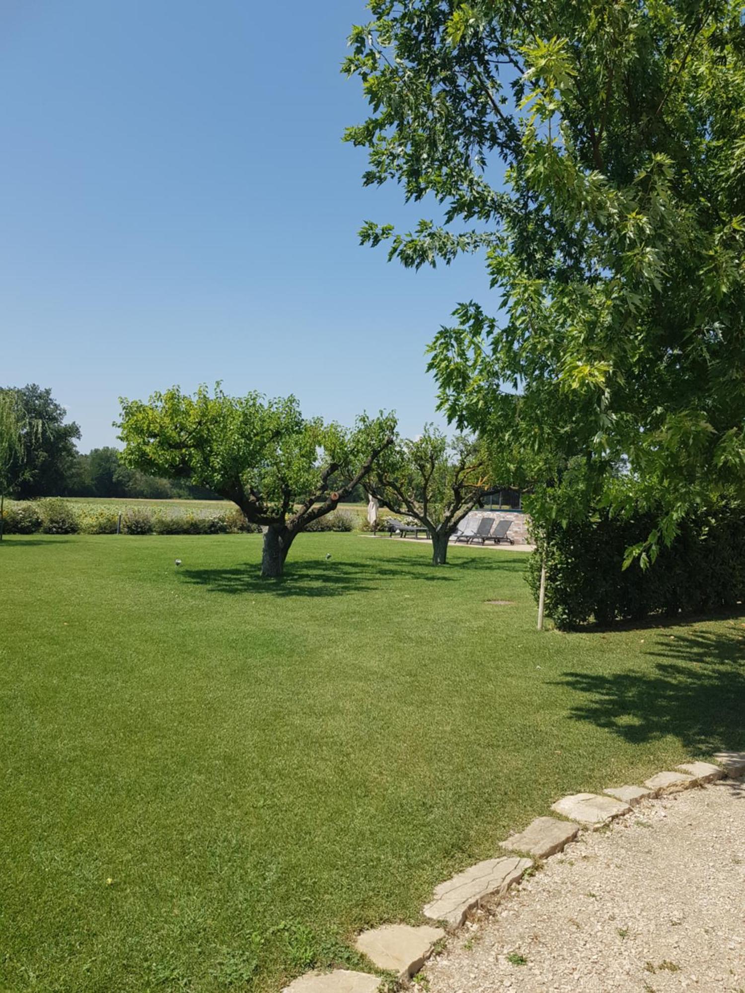 Agriturismo Villa Al Piano Todi Eksteriør billede
