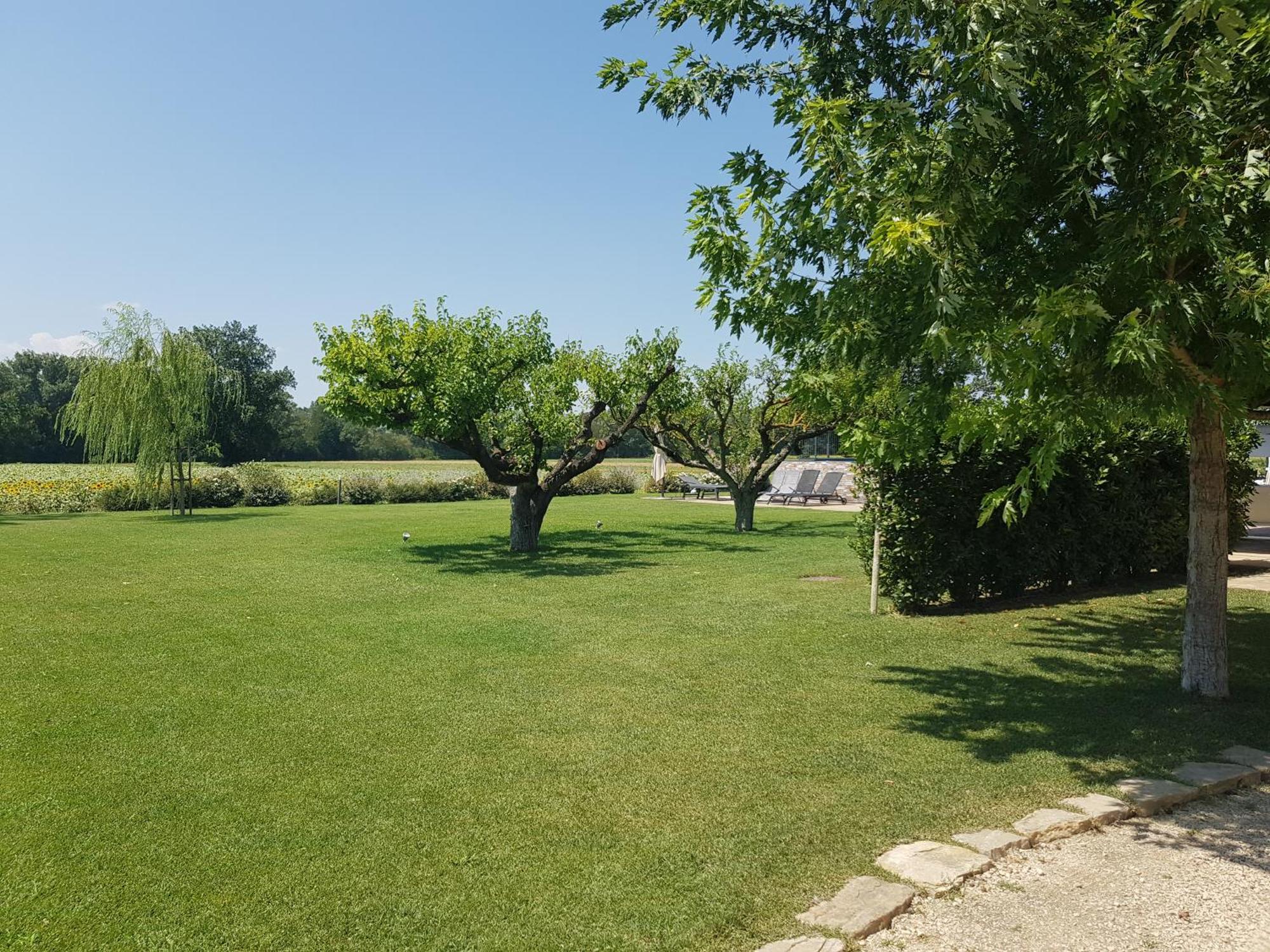 Agriturismo Villa Al Piano Todi Eksteriør billede