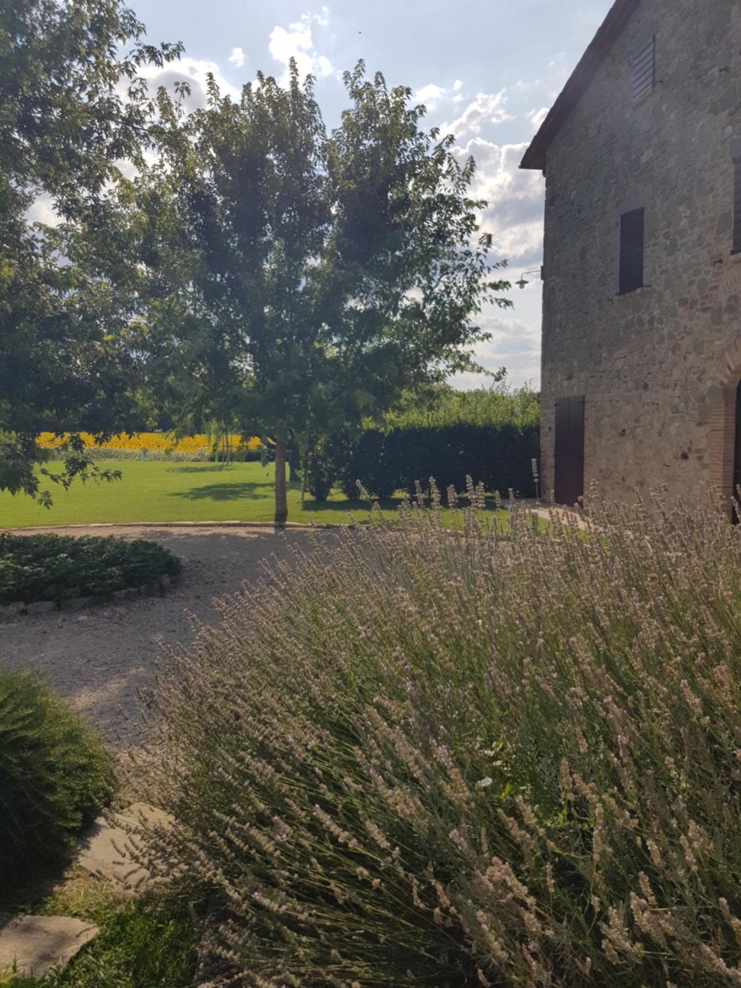 Agriturismo Villa Al Piano Todi Eksteriør billede