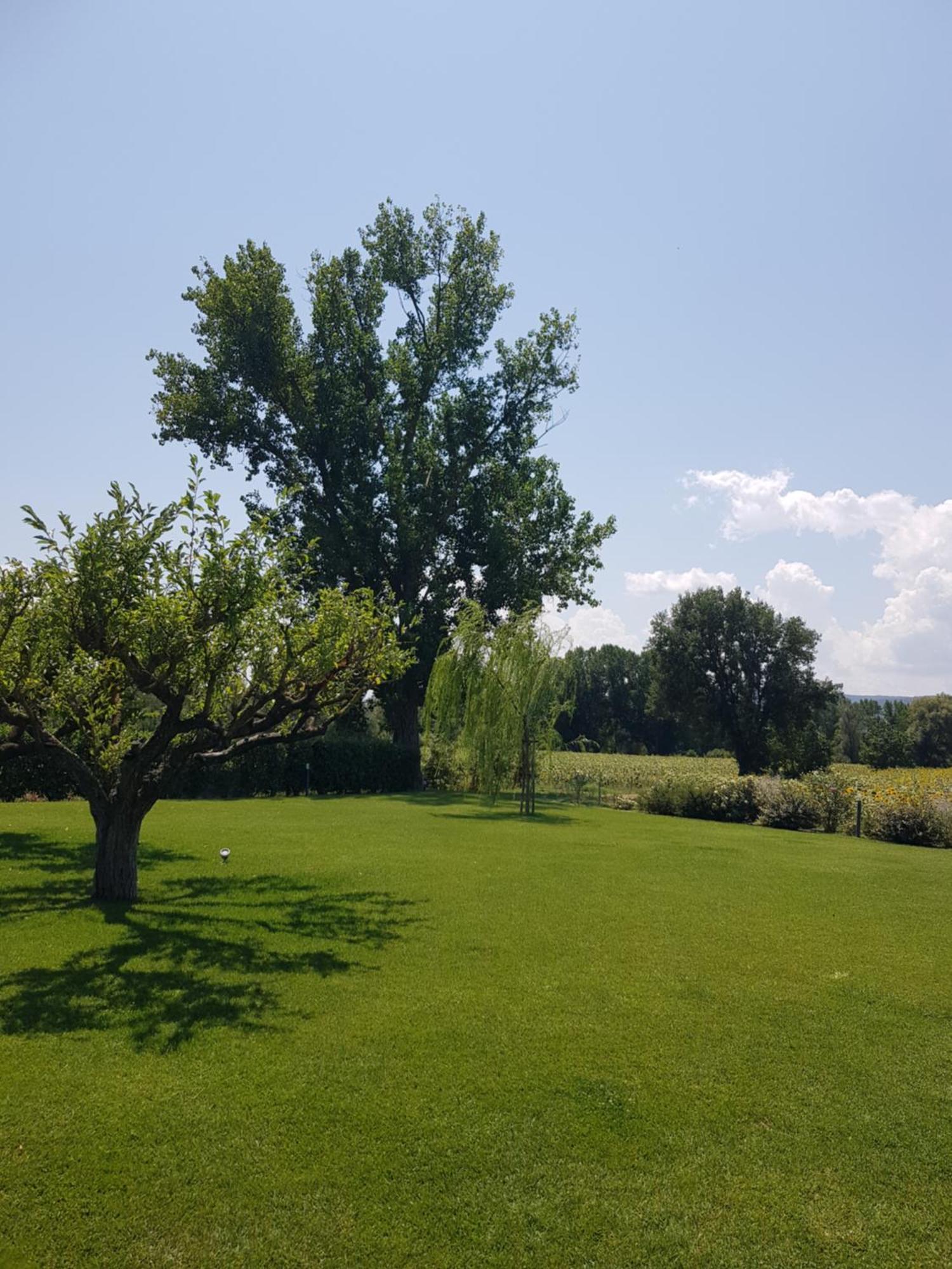Agriturismo Villa Al Piano Todi Eksteriør billede