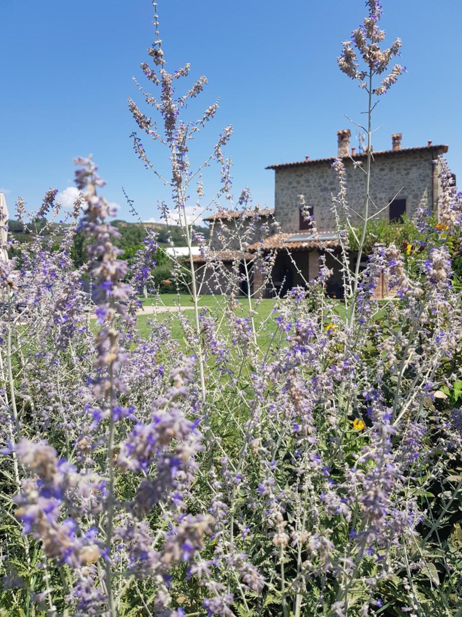 Agriturismo Villa Al Piano Todi Eksteriør billede