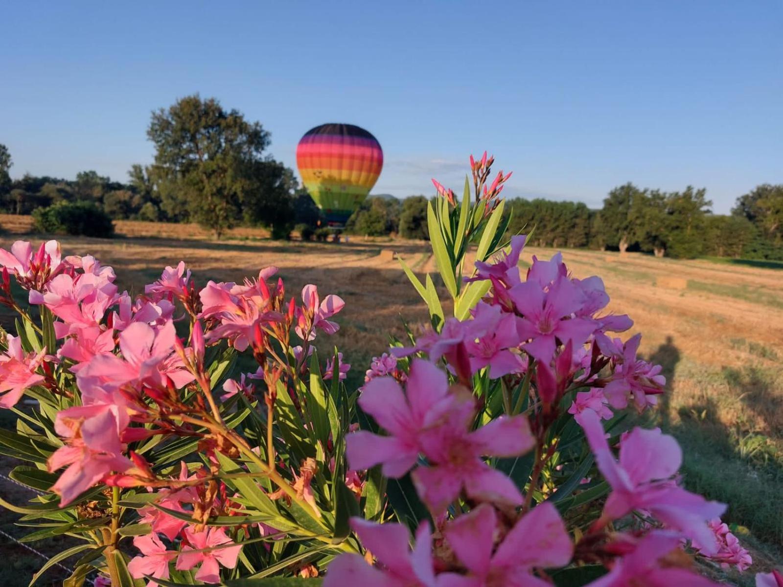 Agriturismo Villa Al Piano Todi Eksteriør billede